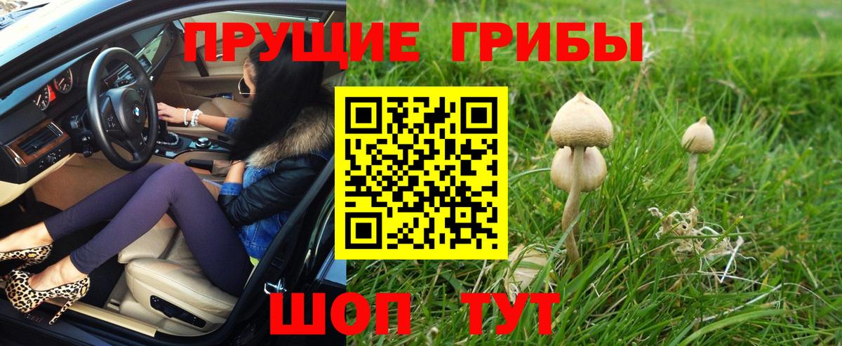 Городец  Псилоцибиновые грибы ЛСД  Вход с VPN 