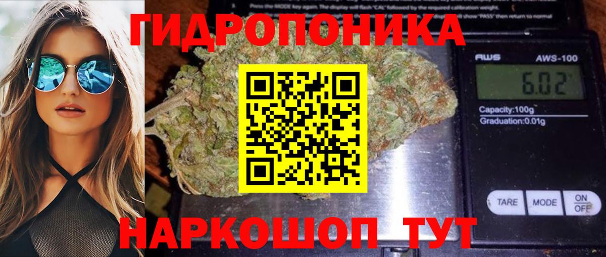 Городец  Конопля сатива  Вход с VPN  МАРИХУАНА семена  Бошки марихуана AK-47  Конопля SATIVA & INDICA 